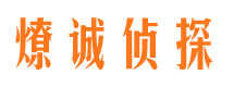 东山区商务调查